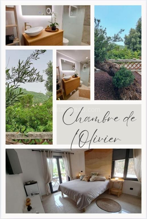Chambre de l'Olivier
