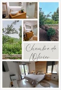 Chambre de l Olivier à Taradeau